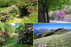 foto del territorio